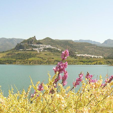 Casa Rural-Apartamento El Lebrillero Zahara De La Sierra Eksteriør bilde